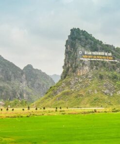 Hoi An to Phong Nha taxi