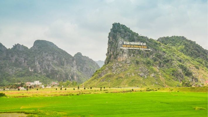 Hoi An to Phong Nha taxi
