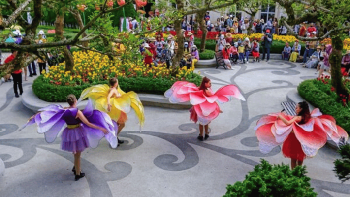 Spring Festival at Bana Hills