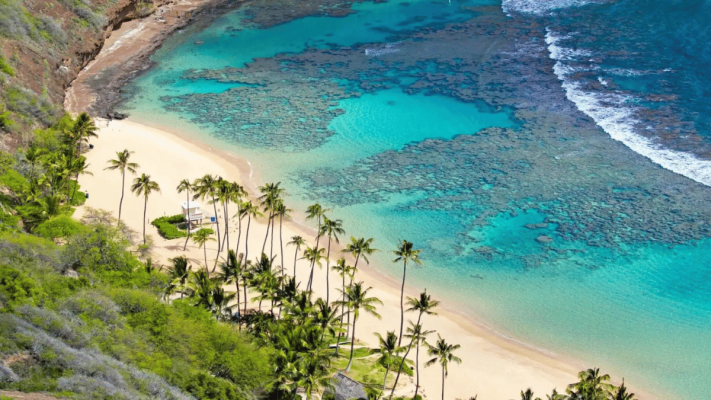 Explore the wild beaches of Cham Island