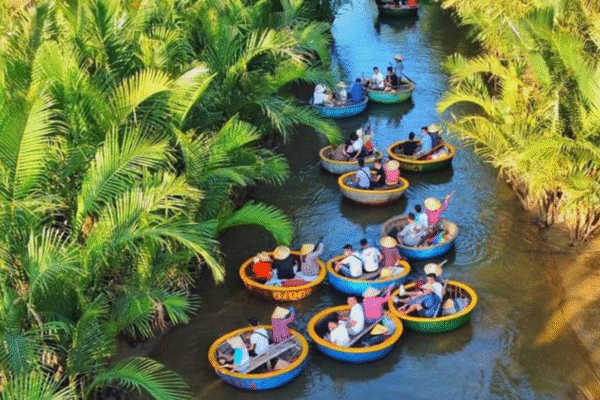 Bay Mau Coconut Forest