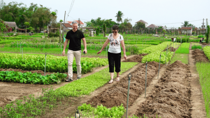The attraction of Tra Que vegetable village in Hoi An