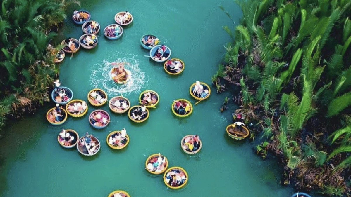 Bay Mau Coconut Forest