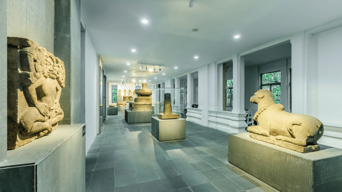 Huge Collection of Artifacts